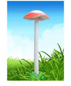 Red and White Bonnet Mushroom 240cm | JR 190094