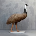 Emu | JR 3360
