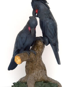 Double Cockatoo Lovers on Tree | JR DBPC-1002