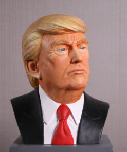 Alternative view of Donald Trump | JR 250151