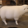 Paintable Primer Merino Sheep