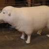 Paintable Primer Merino Sheep