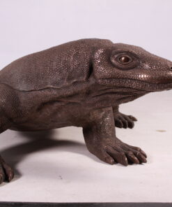 Komodo Dragon - Bronze Effect Finish | JR 080121