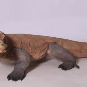 Komodo Dragon - Gelcoat Finish | JR 080121