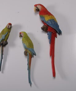 Alternative view of Macaw - Green and Yellow | JR 190159