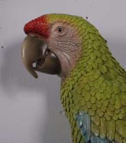 Macaw - Green and Yellow | JR 190159