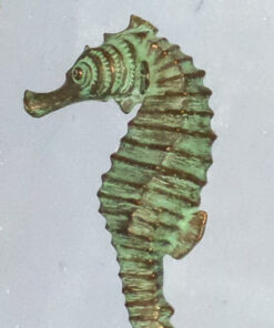 Seahorse 24inch - Hanging - Bronze Effect Finish | JR 140053