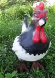 Comic Chicken | JR - C-003