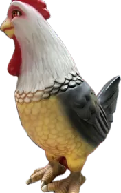 Comic Chicken | JR - C-003