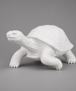 Galapagos Tortoise - Paintable Primer finish | JR 080124