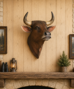 Bull Head - Brown | JR 2198