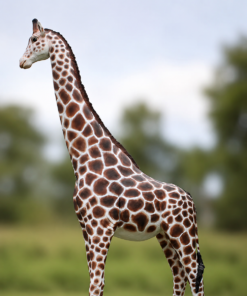 Giraffe 12ft | JR 090070