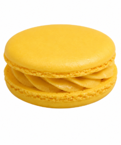 Medium Solo Macaron - Yellow | JR 3616