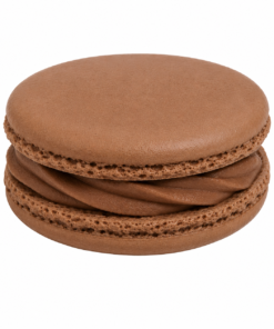 Medium Solo Macaron - Brown | JR 3616