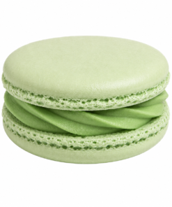 Medium Solo Macaron - Green | JR 3616