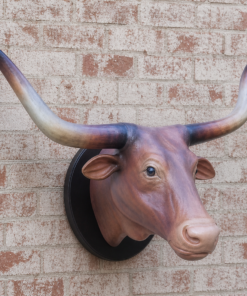 Bull Head with long Horns - Brown | JR 2272