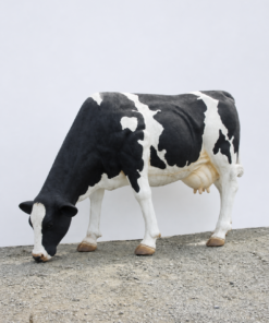 Friesian Cow - Head Down - No Horns | JR 1635