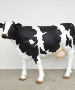 Friesian Cow - Head Up - No Horns | JR 1634