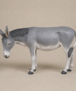 Gray Donkey | JR 2006
