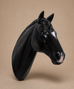 Black Horse Head | JR 150090