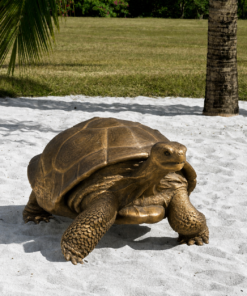 Galapagos Tortoise - Bronze Effect Finish | JR 080124