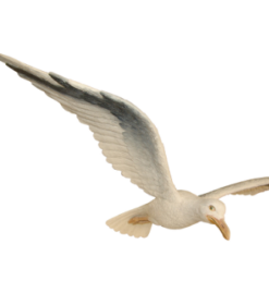 Alternative view of Seagull - Straight Wings | JR R-037