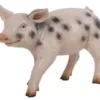 Spotted Piglet - Standing | JR 110084