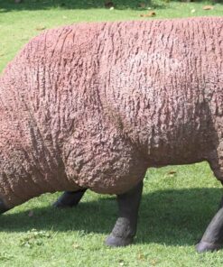 Texelaar Sheep - Brown | JR 100021
