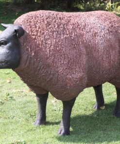 Alternative view of Texelaar Sheep - Head Up | JR 100022