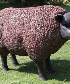 Texelaar Sheep - Head Up | JR 100022