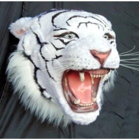 Tiger Head with white furry finish | JR 2107 - Image 2