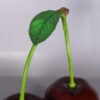 Cherry - Pair 130043