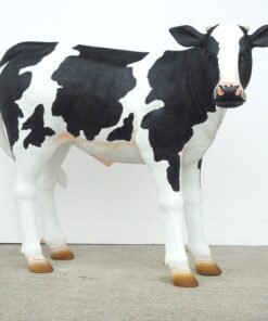 Friesian Calf | JR 1636