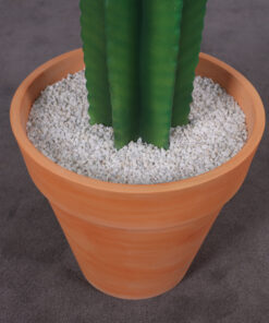 260073 Cactus 6ft