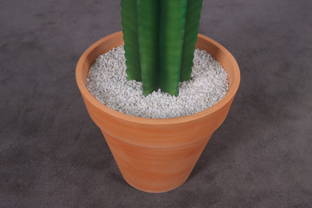 260073 Cactus 6ft
