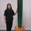 260073 Cactus 6ft