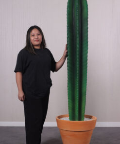 260073 Cactus 6ft