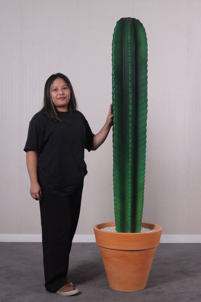 260073 Cactus 6ft