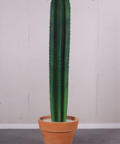 260073 Cactus 6ft