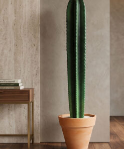260073 Cactus 6ft