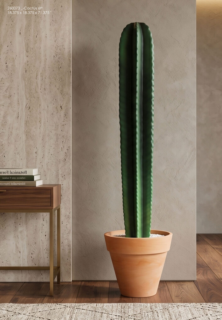 260073 Cactus 6ft