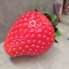JR XM STRAWBERRY